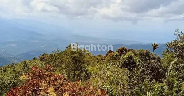 image TANAH MUNDUK  (2)