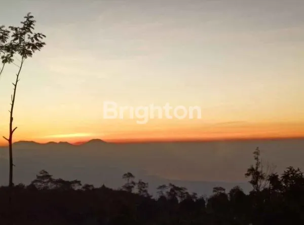 image TANAH MUNDUK  (4)