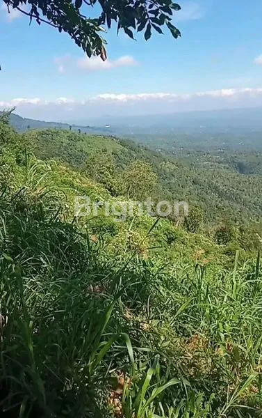 image TANAH MUNDUK  (6)