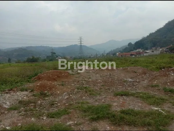 image TANAH PERKEBUNAN LUAS PUNCAK MULYA - BANDUNG  (6)