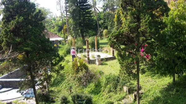 image TANAH COCOK UNTUK VILLA/PERKEBUNAN DI CIPANAS (2)