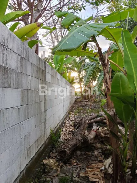 image DI JUAL TANAH MURAH DI JIMBARAN (2)