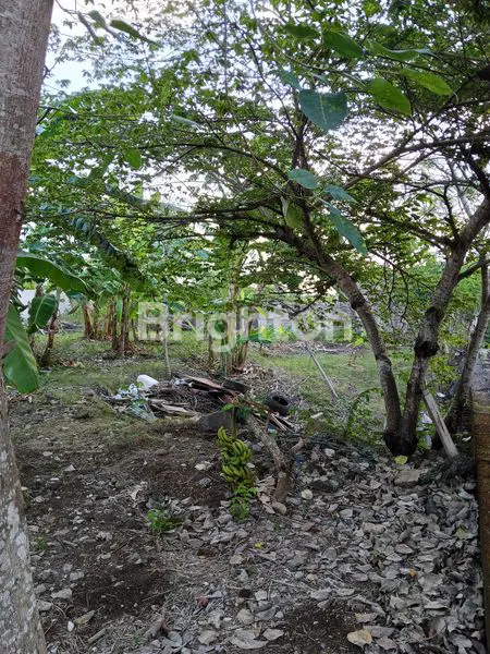 image DI JUAL TANAH MURAH DI JIMBARAN (1)