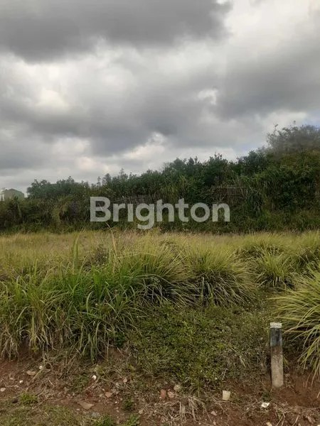 image JOYOAGUNG | PERMATA RICH GARDEN (3)