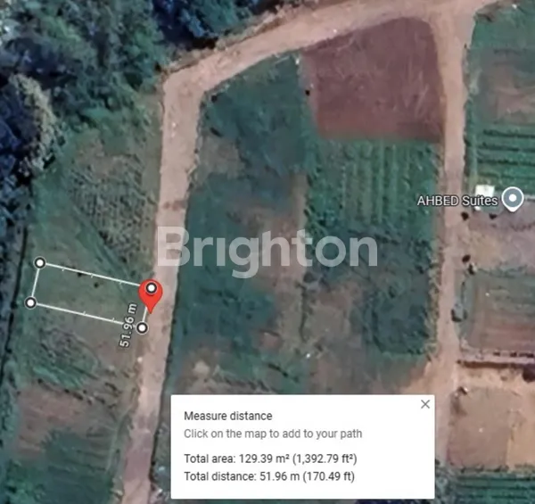 image JOYOAGUNG | PERMATA RICH GARDEN (4)