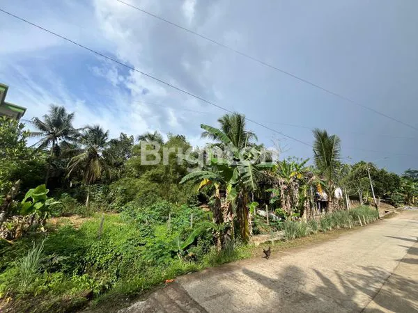image TANAH PREMIUM 2000M² DEKAT TOL PALARAN, SIAP BANGUN (1)