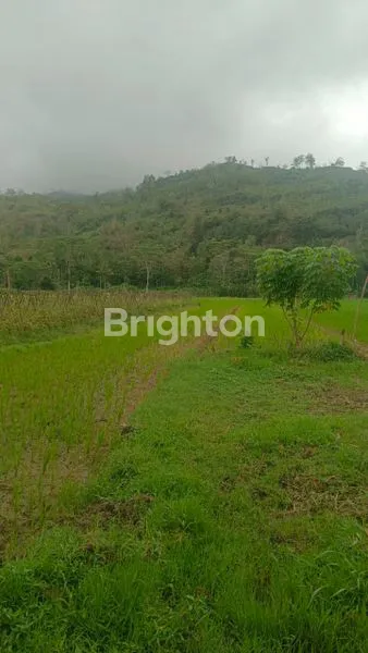 image TANAH MURAH SELUAS 2.160 M², DEKAT JALAN RAYA (1)