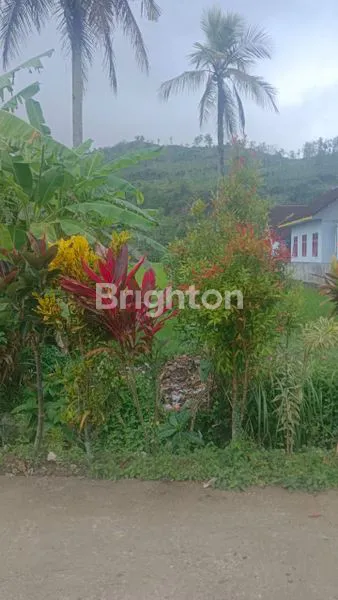 image TANAH MURAH SELUAS 2.160 M², DEKAT JALAN RAYA (2)