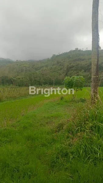 image TANAH MURAH SELUAS 2.160 M², DEKAT JALAN RAYA (4)