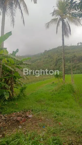 image TANAH MURAH SELUAS 2.160 M², DEKAT JALAN RAYA (3)