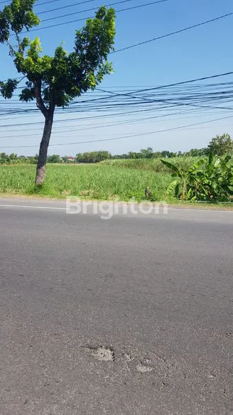 image _*LAHAN STRATEGIS JALUR PROVINSI, DEKAT GATE TOL MOELDOKO, LUAS 17.000 M² UNDER PASAR*_\N (3)