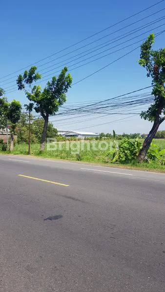 image _*LAHAN STRATEGIS JALUR PROVINSI, DEKAT GATE TOL MOELDOKO, LUAS 17.000 M² UNDER PASAR*_\N (7)