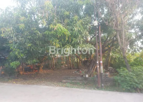 image TANAH LOKASI STRATEGIS DI PENGGARON KIDUL (2)