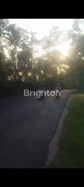 image TANAH DATAR DEKET TOL SALATIGA, JAWA TENGAH (4)