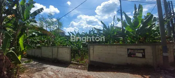 image TANAH 290M2 (2, 9ARE) DI BALANGAN BALI (5)