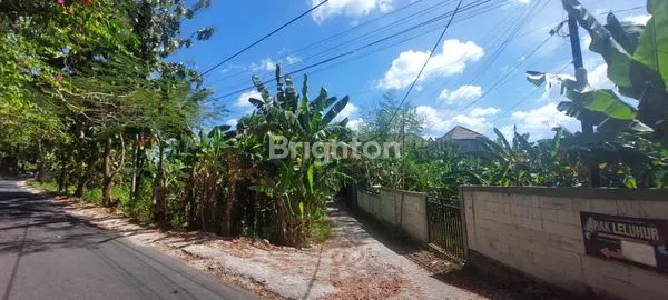 image TANAH 290M2 (2, 9ARE) DI BALANGAN BALI (7)
