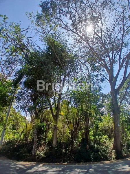 image JUAL/SEWA TANAH 5 ARE PECATU (1)