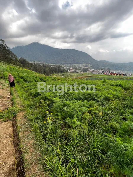 image TANAH TAWANGMANGU  (4)