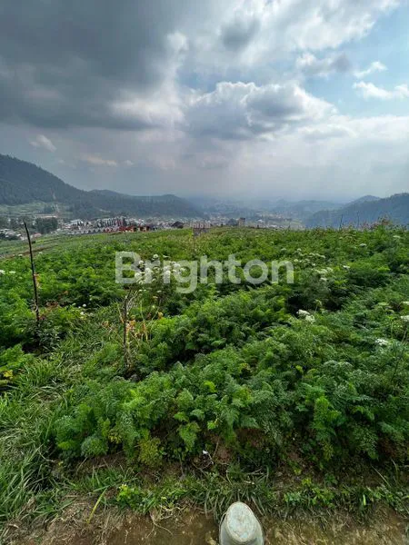 image TANAH TAWANGMANGU  (2)