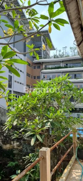 image RUMAH ASRI LOKASI STRATEGIS DI CILANDAK - BELAKANG SEKOLAH HIGH SCOPE (6)