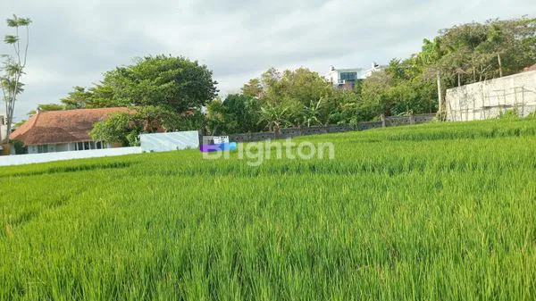 image DISEWAKAN TANAH SAWAH DEKAT LOKASI CANGGU (1)
