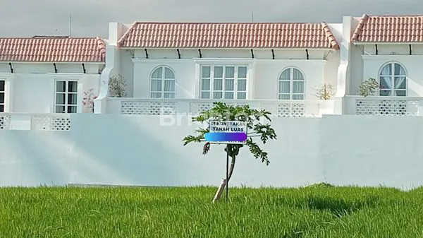 image DISEWAKAN TANAH SAWAH DEKAT LOKASI CANGGU (2)