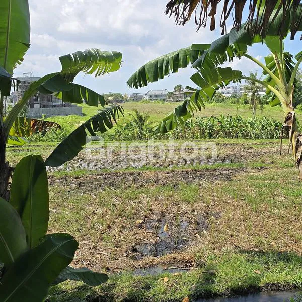image LAHAN DI LOKASI PREMIUM & JALAN UTAMA PANTAI SESEH, TABANAN - BALI (2)