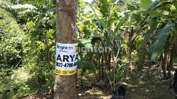 image TANAH DAJAN PEKEN TABANAN (3)