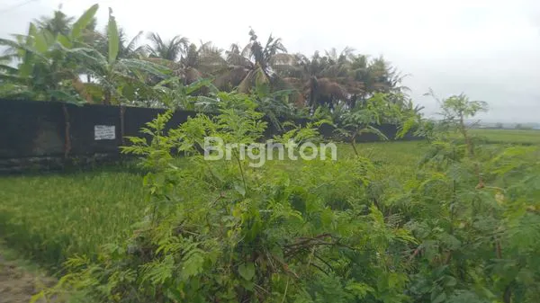 image DIKONTRAKAN SEBIDANG TANAH SELUAS 16 ARE ( 1600 M2) LOKASI PINGGIR JALAN (2)