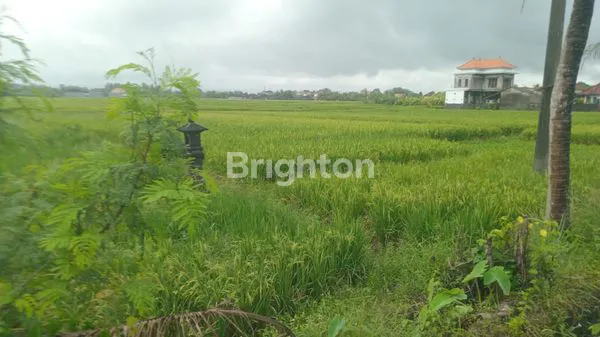 image DIKONTRAKAN SEBIDANG TANAH SELUAS 16 ARE ( 1600 M2) LOKASI PINGGIR JALAN (1)