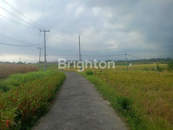 image TANAH 8.200M² VIEW SAWAH DI BERABAN - AKSES MUDAH & STRATEGIS (6)