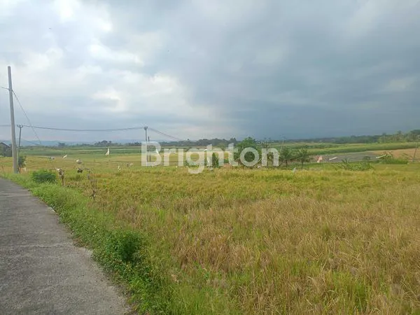 image TANAH 8.200M² VIEW SAWAH DI BERABAN - AKSES MUDAH & STRATEGIS (8)