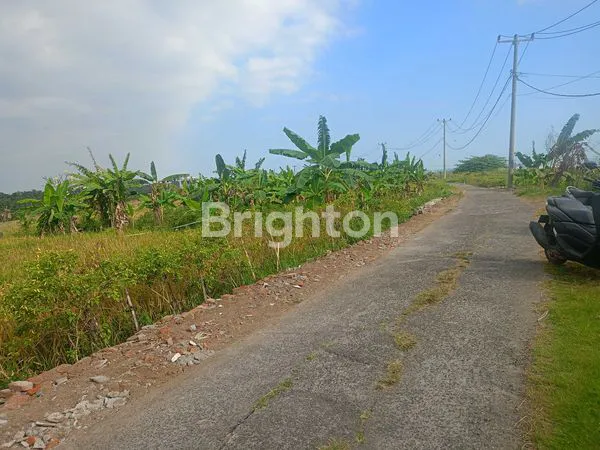 image TANAH 8.200M² VIEW SAWAH DI BERABAN - AKSES MUDAH & STRATEGIS (1)