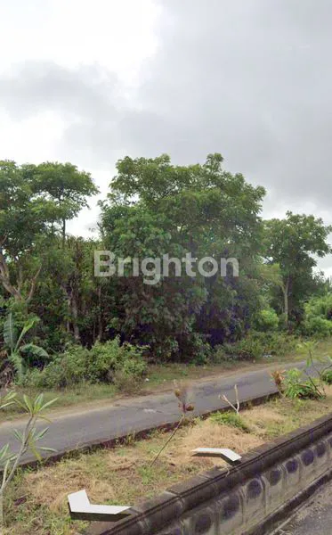 image TANAH PREMIUM 1000M² DI JALAN UTAMA PANTAI PANDAWA, BALI (1)