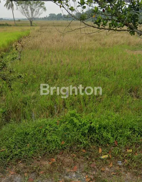 image TANAH LUAS 5.6 HEKTAR PINGGIR JALAN BESAR AKSES KE LAUT (2)