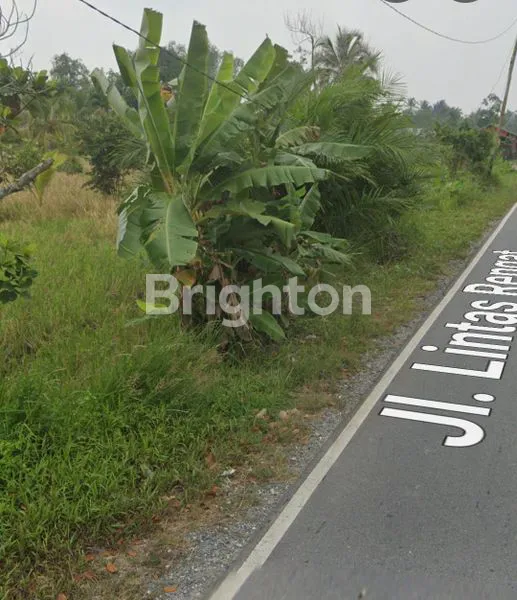 image TANAH LUAS 5.6 HEKTAR PINGGIR JALAN BESAR AKSES KE LAUT (3)