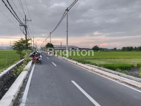 image TANAH SAWAH PINGGIR JALAN DI GUNUNG GEDANGAN, MAGERSARI, MOJOKERTO (2)