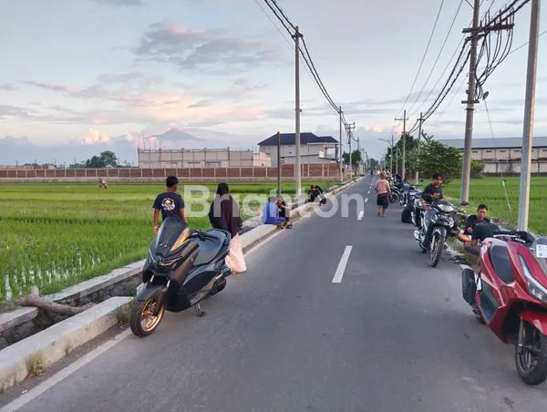 image TANAH SAWAH PINGGIR JALAN DI GUNUNG GEDANGAN, MAGERSARI, MOJOKERTO (3)