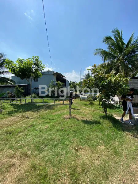 image TANAH LUAS LOKASI PREMIUM DI JEMBRANA (8)