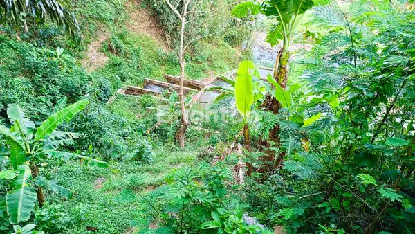 image DIJUAL MURAH & CEPAT KEBUN + BALONG DI SUMEDANG UTARA, SUMEDANG, JAWA BARAT (1)