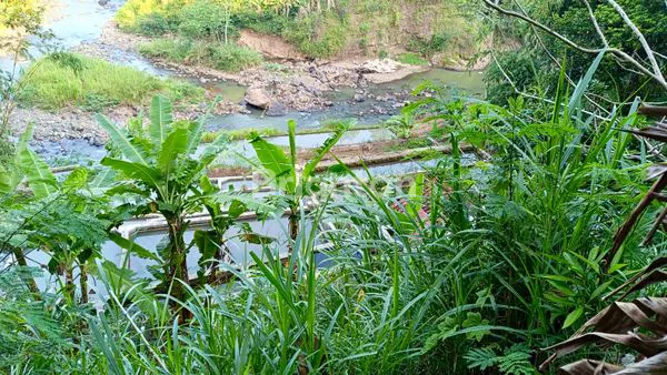 image DIJUAL MURAH & CEPAT KEBUN + BALONG DI SUMEDANG UTARA, SUMEDANG, JAWA BARAT (2)