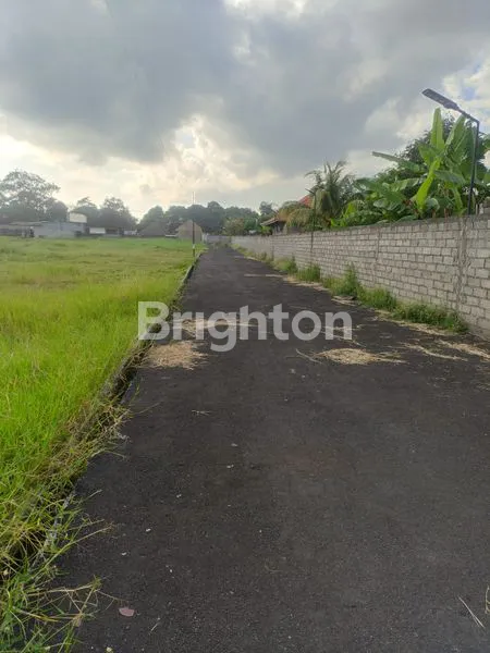image TANAH ZONA PINK SELUAS 350 M² KELATING - TABANAN (3)
