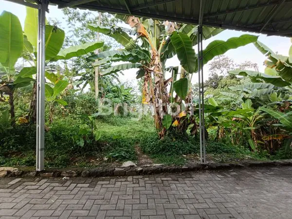 image LAHAN LUAS 4,6 HA DI PUDAK PAYUNG BANYUMANIK SEMARANG LOKASI STRATEGIS NILAI INVESTASI TINGGI (5)