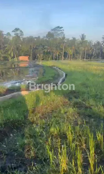 image TANAH  COCOK UNTUK VILLA LOKASI TEGALALANG GIANYAR (2)