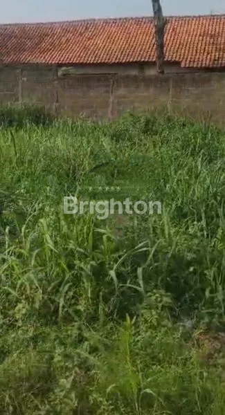 image TANAH DATAR DIJUAL CEPAT DI JALAN BARU LINGKAR DRAMAGA (1)