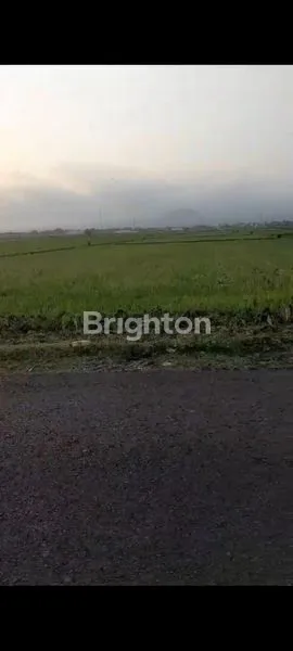 image D JUAL TANAH LUAS  MURAH D KROMENGAN - PENIWEN (3)