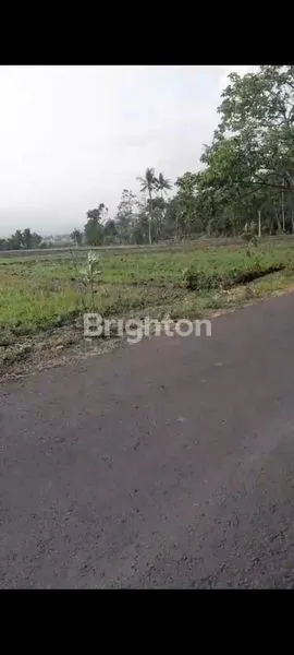 image D JUAL TANAH LUAS  MURAH D KROMENGAN - PENIWEN (4)