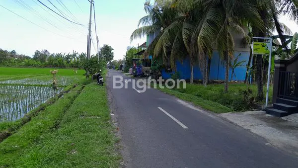 image RUKO MODERN 3 LANTAI, 4KT, 5 MENIT KE PANTAI - WANASARI TABANAN (7)