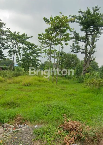 image TANAH DI PURWOSARI KABUPATEN PASURUAN JAWA TIMUR (1)