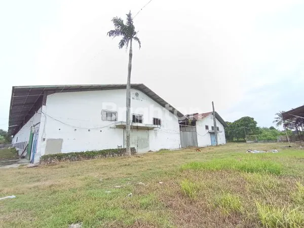 image TANAH LUAS 1,7 HEKTAR BATANG KUIS (5)